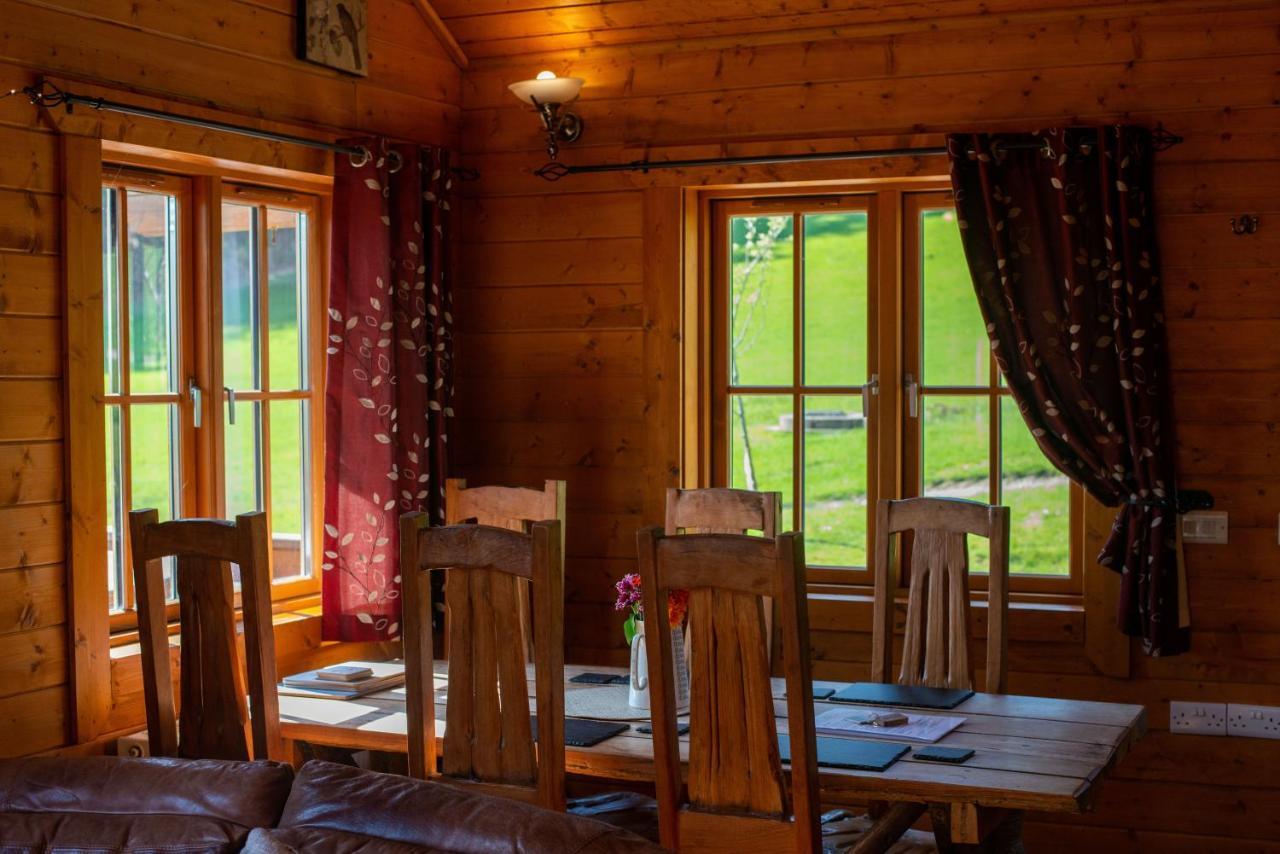 George Cabin - Log Cabin In Wales With Hot Tub Newtown  Εξωτερικό φωτογραφία