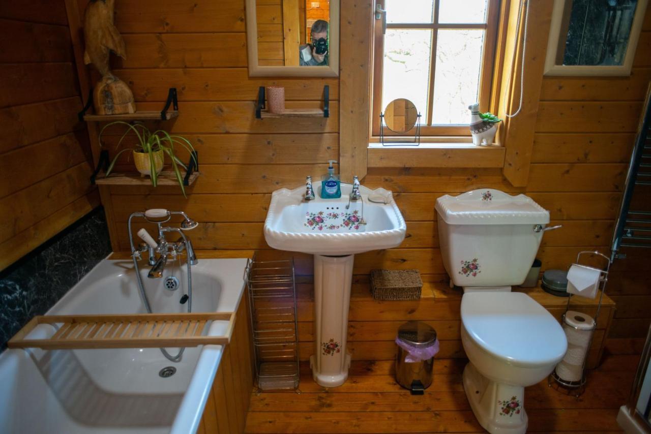 George Cabin - Log Cabin In Wales With Hot Tub Newtown  Εξωτερικό φωτογραφία