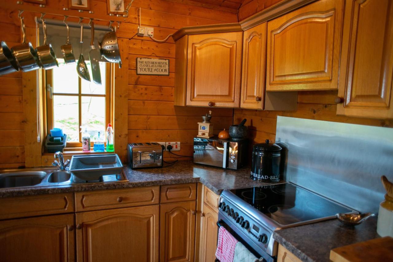 George Cabin - Log Cabin In Wales With Hot Tub Newtown  Εξωτερικό φωτογραφία